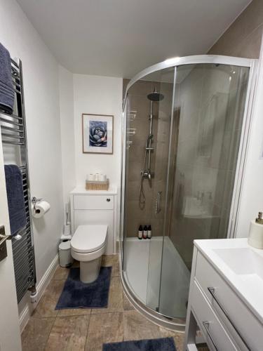 uma casa de banho com um chuveiro, um WC e um lavatório. em Lossie Self-Catering Apartment em Lossiemouth