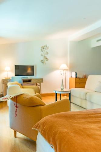a living room with two couches and a tv at Le Mas de La Crémaillère in Gréoux-les-Bains