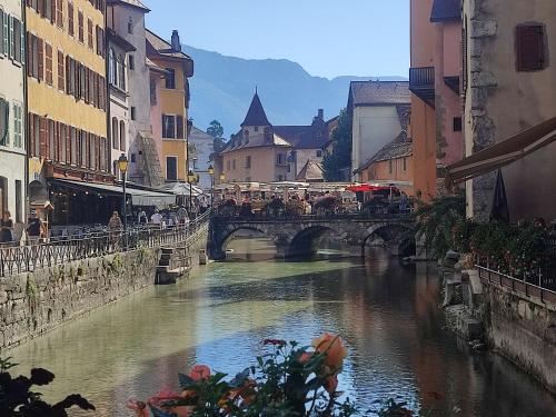 a bridge over a river in a city at chambre atypique à 200m du lac in Saint-Jorioz