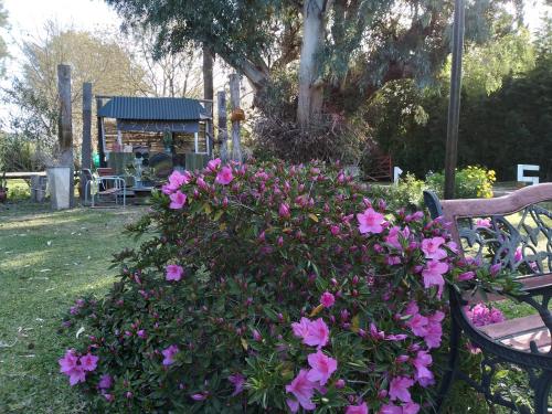 a bush of pink flowers sitting next to a bench at Pualy Resort & Spa in Belén de Escobar