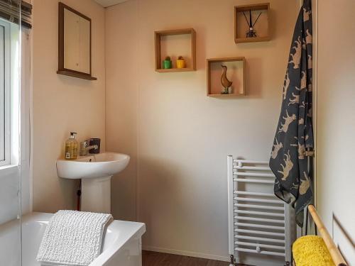łazienka z umywalką i zasłoną prysznicową w obiekcie Glenbeagles Lodge w mieście Dollar