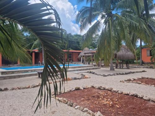 a resort with a palm tree and a swimming pool at Hotel Bacalar Sunshine in Bacalar