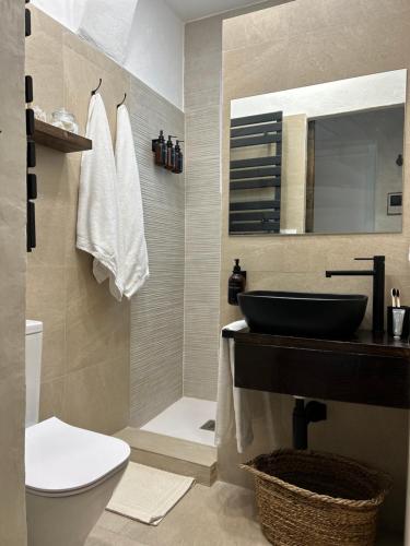 a bathroom with a sink and a toilet at El Rincón de Manuela in Sarria