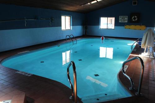 a large swimming pool with blue water in a room at Bellevue Hotel and Suites in Bellevue