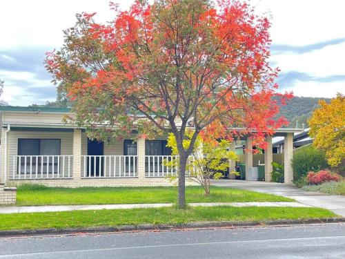 Κήπος έξω από το Pet friendly home in Albury