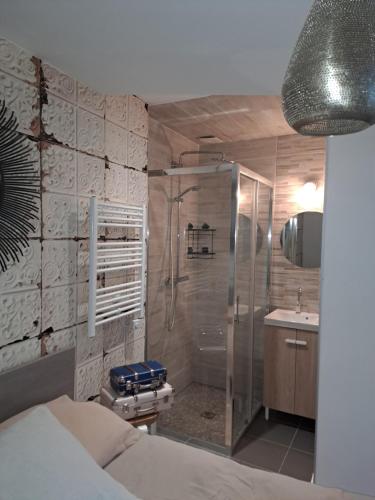 een badkamer met een douche, een bed en een wastafel bij Maisonnette in Corbeil-Essonnes