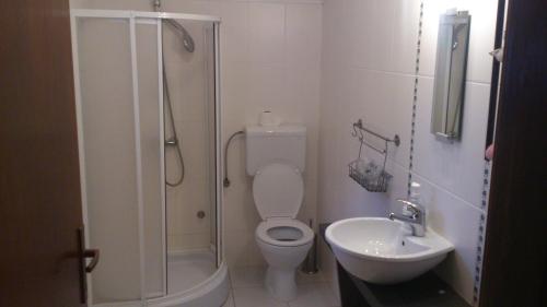 a bathroom with a shower and a toilet and a sink at Salaš Đorđević in Subotica