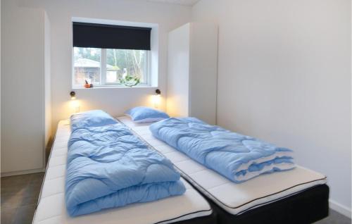 エーベルトフトにある4 Bedroom Awesome Home In Ebeltoftの青い枕が備わる客室内のベッド2台