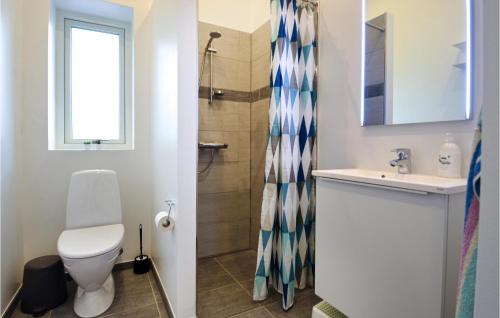 エーベルトフトにある4 Bedroom Awesome Home In Ebeltoftのバスルーム(トイレ、洗面台、シャワー付)