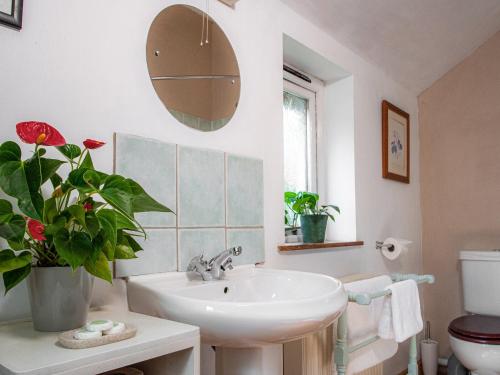 ein Badezimmer mit einem Waschbecken, einem WC und einem Spiegel in der Unterkunft Hen Efail - Old Smithy in Tregaron