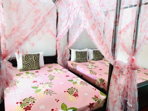 two beds in a room with pink mosquito nets at Lucky Star in Udawalawe