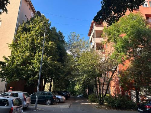 a street with cars parked on the side of a building at Big White M in Karaburma