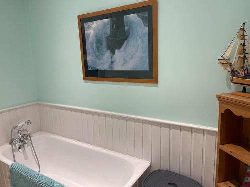 eine Badewanne in einem Zimmer mit einem Bild an der Wand in der Unterkunft Bushtown Lodge in Macosquin