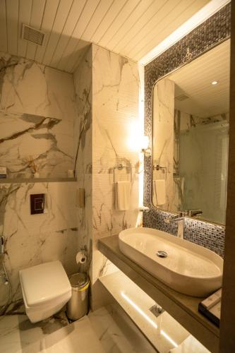 a bathroom with a sink and a toilet and a mirror at Evershine Resort & Spa in Mahabaleshwar