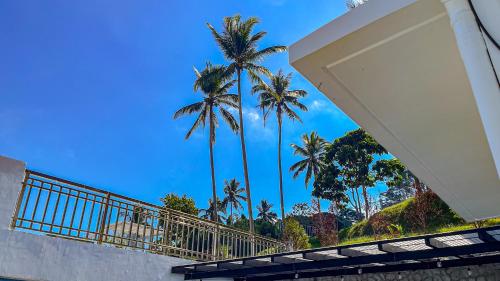 a view of palm trees from a building at Caliraya Heights Resorts and Events Place in Halang
