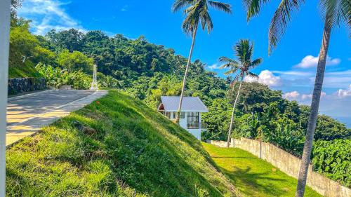 a house on the side of a road with palm trees at Caliraya Heights Resorts and Events Place in Halang