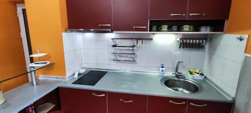 eine Küche mit einer Spüle und einer Arbeitsplatte in der Unterkunft Апартамент ВИСАИ in Blagoewgrad