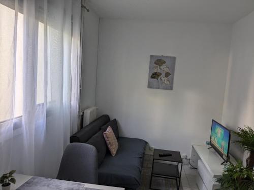 Μια τηλεόραση ή/και κέντρο ψυχαγωγίας στο Appartement cosy 15 min d'Orly