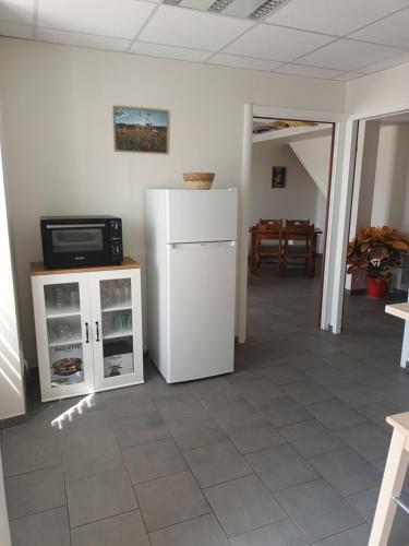 Il comprend une cuisine équipée d'un réfrigérateur blanc et une télévision. dans l'établissement Gîte 4 personnes proche des cascades du Hérisson, à Doucier