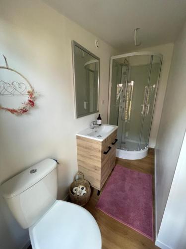 y baño con aseo, lavabo y espejo. en L agréable en Saint-Julien-les-Villas