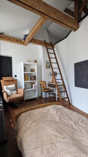 een slaapkamer met een ladder, een bed en een stoel bij Chambre privée centre de Paris proche Marais in Parijs