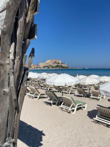 カルヴィにあるCorse Calvi appt coté Mer - Free Wifiの浜辺の椅子・傘