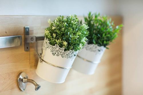 due piante in vaso su un muro accanto a un rubinetto di Évadez-vous au cœur de Tours dans un appartement spacieux offrant une vue paisible sur des jardins luxuriants. a Tours