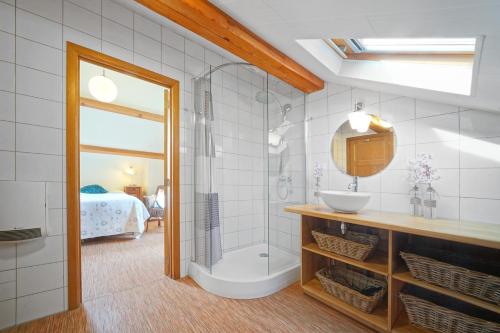 a bathroom with a shower and a sink and a mirror at Ferme de la Blanche Fontaine in Mons