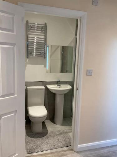 a bathroom with a toilet and a sink at Beautiful private en-suite room with its own entry in Bexleyheath