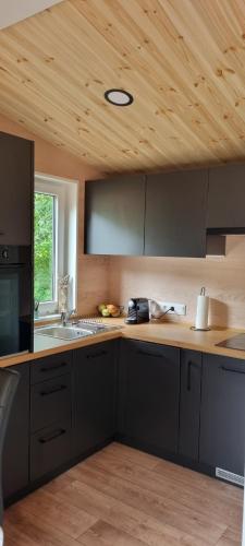 Η κουζίνα ή μικρή κουζίνα στο Waldseechalet Julius - Wemding