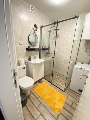 a bathroom with a shower and a toilet and a sink at The Sailor in Belgrade