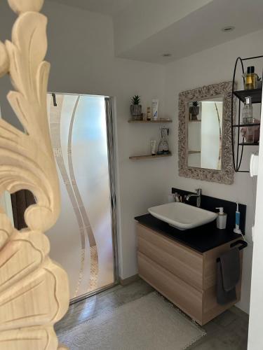 ein Badezimmer mit Waschbecken und Dusche mit Spiegel in der Unterkunft villa Pierre in Cogolin