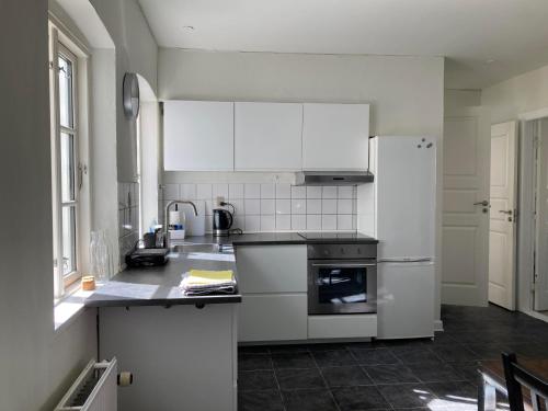 een keuken met witte apparatuur en een witte koelkast bij Professor Labri Apartments in Odense