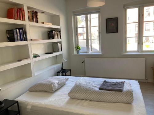 a bedroom with a large white bed with bookshelves at Professor Labri Apartments in Odense