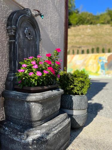 two stone planters with pink flowers on the side of a building at Rooms Horvat in Krapina