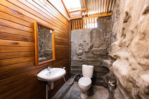 a bathroom with a toilet and a sink at Tiing Bali Guest House Kintamani in Kintamani