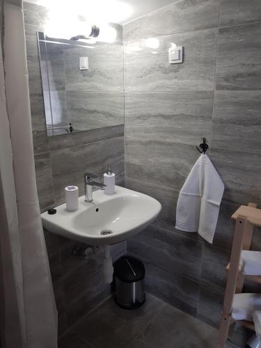 ein Bad mit einem Waschbecken und einem Spiegel in der Unterkunft Rooms Horvat in Krapina