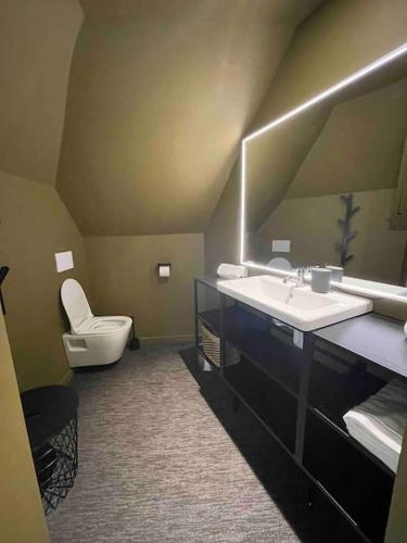 een badkamer met een toilet, een wastafel en een spiegel bij Maison du Thabor in Rennes
