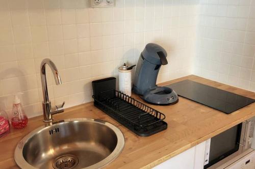 a kitchen counter with a mixer and a sink at Duplex 4/6p Le Familial in Laveissière