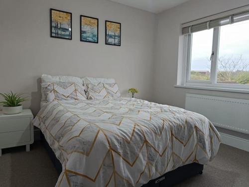 a bedroom with a bed with a comforter and two windows at Sunny room in a modern house in Cardiff