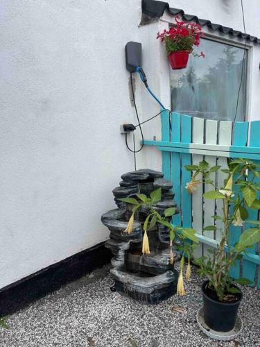 a plant sitting on a pile of rocks next to a building at Snoghoj,self check in,read listing in Fredericia