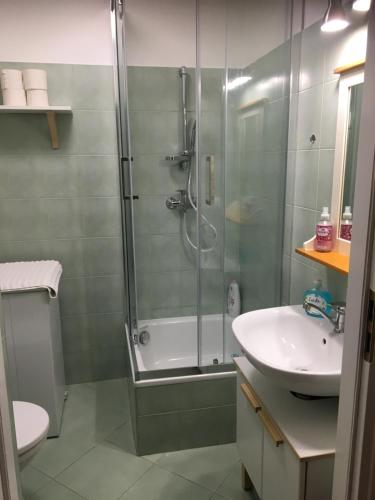 een badkamer met douche en wastafel bij Czaple na Muchoborze by Apartamenty na dni Wrocław in Wrocław
