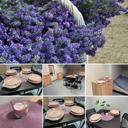 a collage of pictures with purple flowers on a table at Lawendowa Przystań - Dolina Baryczy in Ujeździec Mały