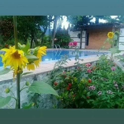 Taman di luar Chacara vida nova em Pedro de toledo