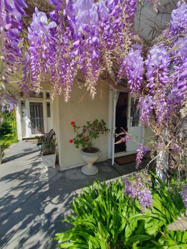 a house with purple flowers hanging from a building at Grandhome Melbourne Airport & Shops in Melbourne