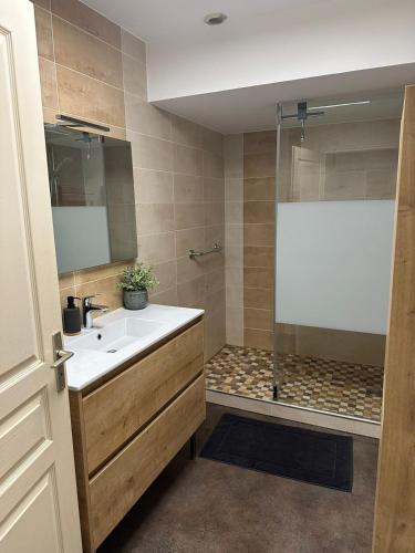 une salle de bain avec un lavabo et une douche dans l'établissement La Maison Du Puy, à Le Puy-Saint-Bonnet