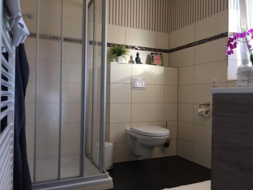 a bathroom with a toilet and a glass shower at Ferienwohnung Madlein in Rehna