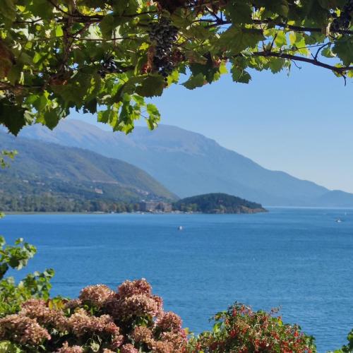 a view of a lake with mountains in the background at Villa Malezan in Ohrid