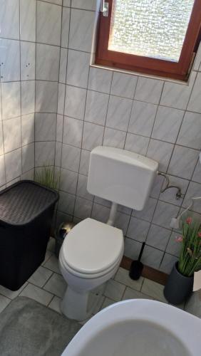 a bathroom with a white toilet and a window at Ferienwohnung Mostheuriger Leo-Hof Kathi in Hirschwang