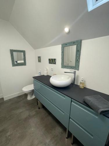 La salle de bains est pourvue d'un lavabo et de toilettes. dans l'établissement Jolie maison quartier Vesone, à Périgueux